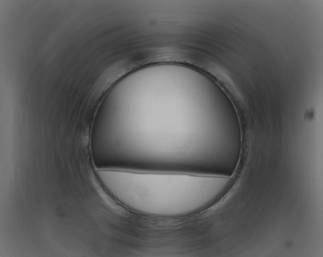 X0000093410841200710120914