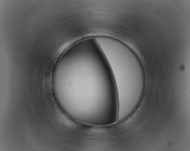 X0000093410842200710120914