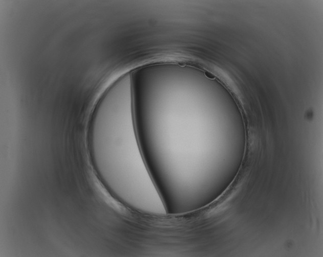 X0000093410843200710120914