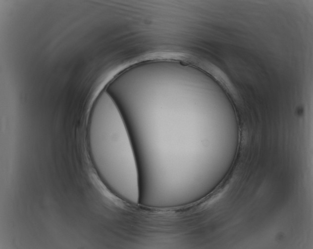 X0000093410844200710120914