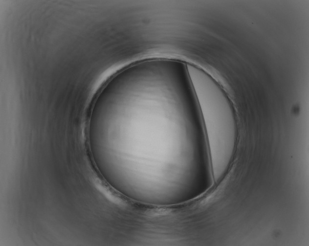 X0000093410846200710120914