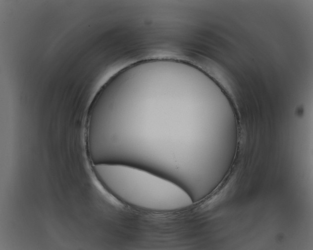 X0000093410847200710120914