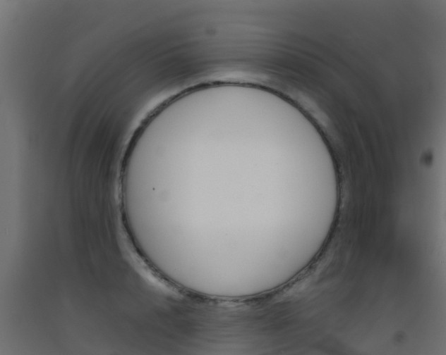 X0000093410848200710120914