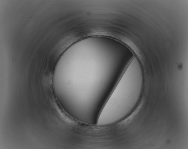 X0000093410849200710120914