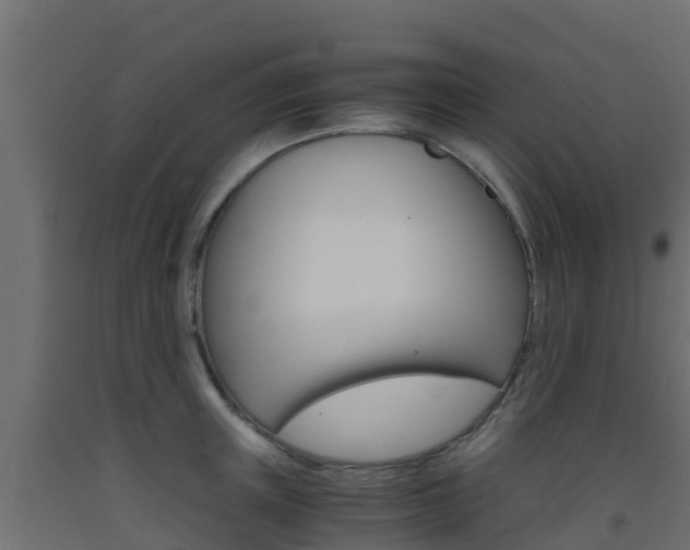 X0000093410851200710120914