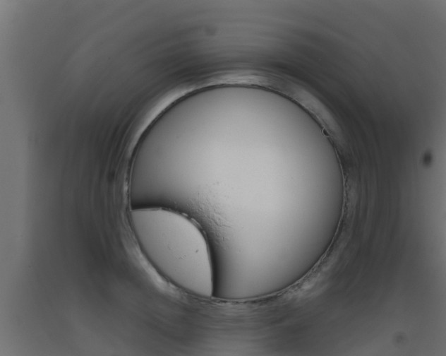 X0000093410852200710120914