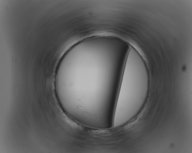 X0000093410853200710120914