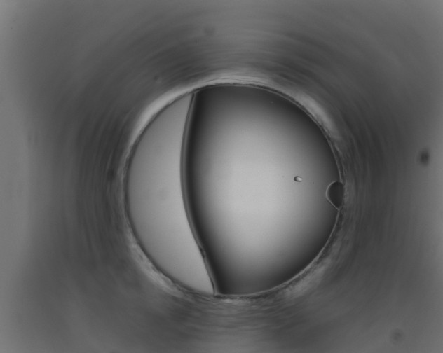 X0000093410854200710120914