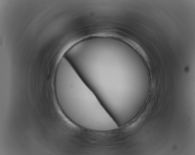 X0000093410855200710120914