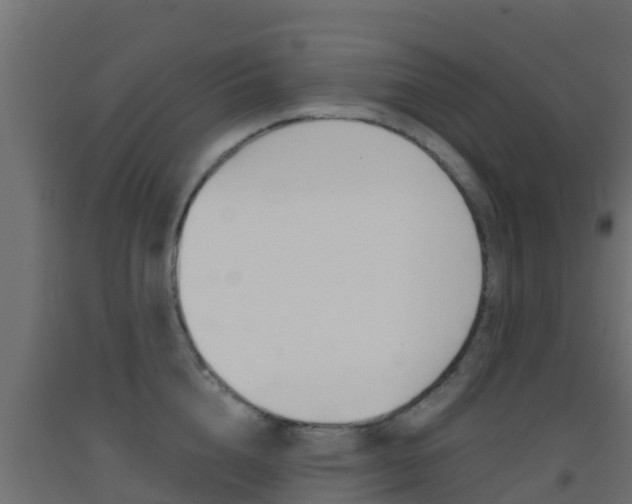 X0000093410856200710120914