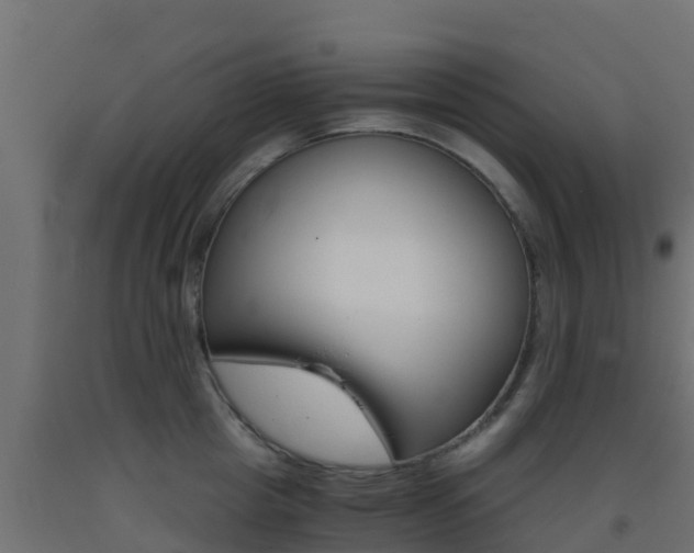 X0000093410857200710120914