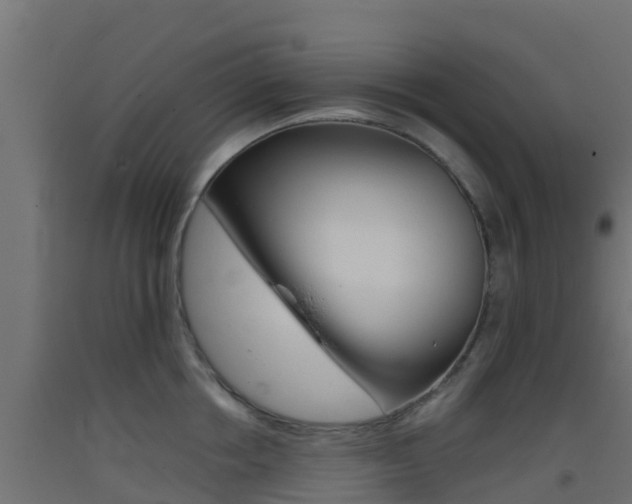 X0000093410858200710120914