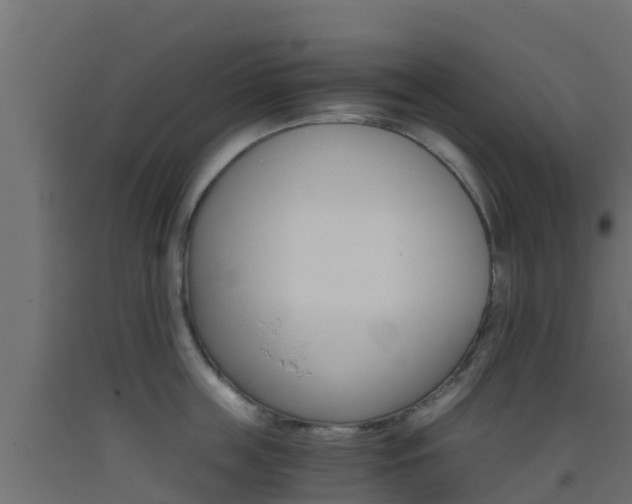 X0000093410859200710120914