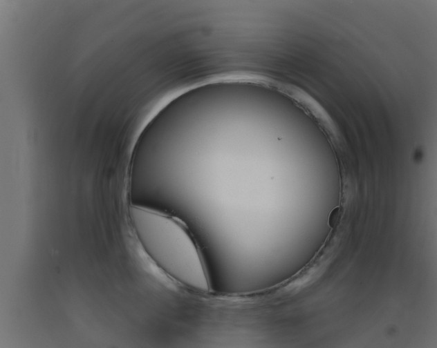X0000093410860200710120914
