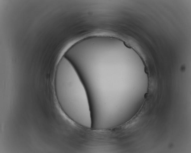X0000093410863200710120914