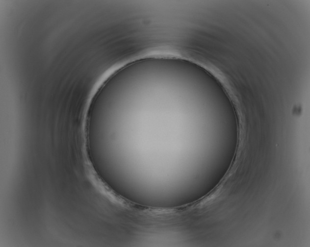 X0000093410864200710120914