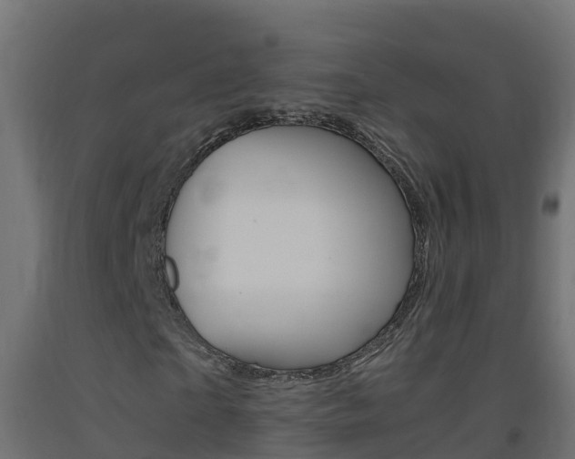 X0000093410865200710120914