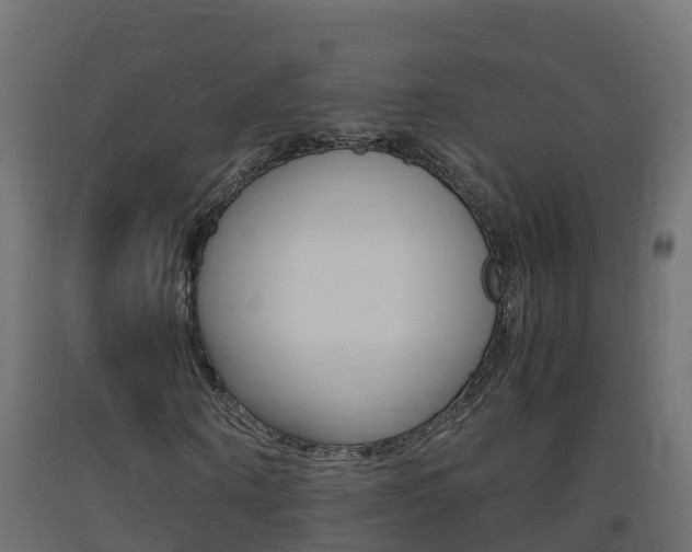 X0000093410866200710120914