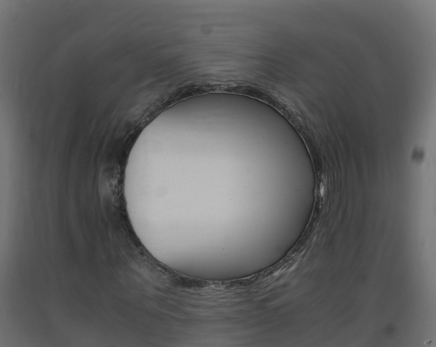 X0000093410867200710120914