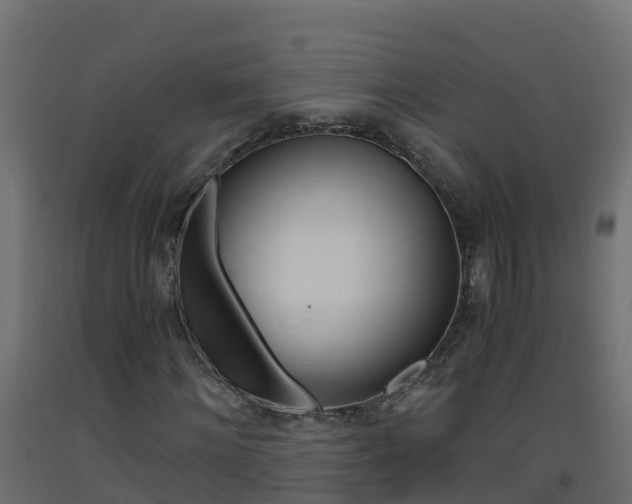 X0000093410868200710120914