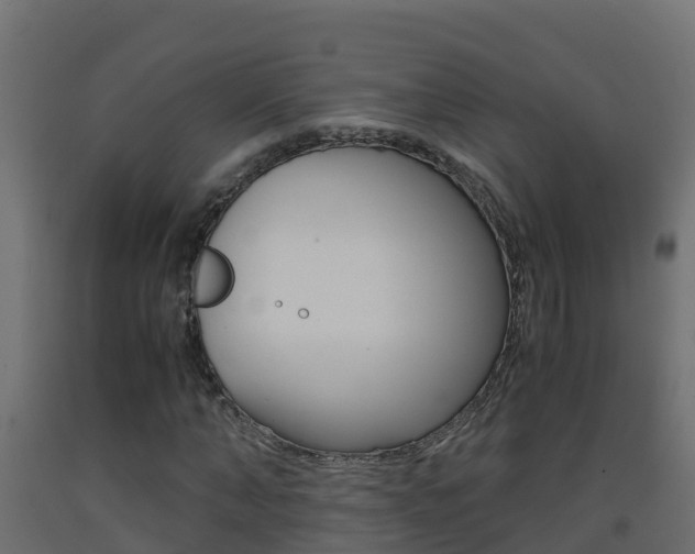 X0000093410870200710120914