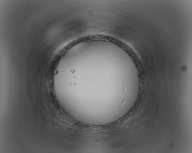X0000093410871200710120914