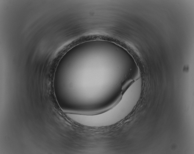 X0000093410872200710120914