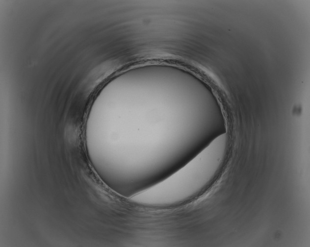 X0000093410873200710120914