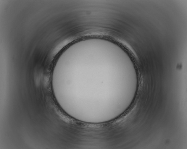 X0000093410874200710120914