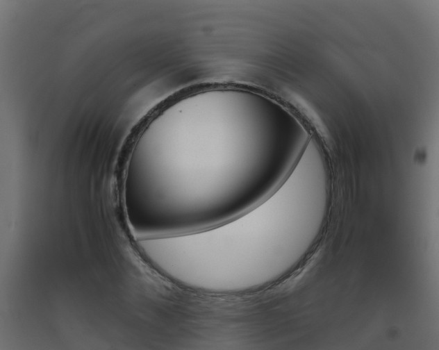 X0000093410876200710120914