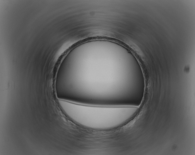 X0000093410877200710120914
