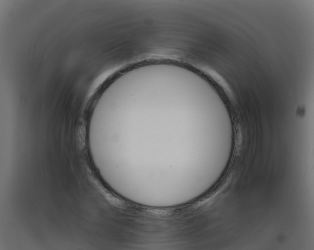 X0000093410878200710120914