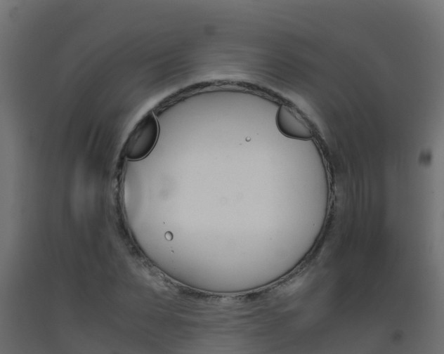 X0000093410879200710120914