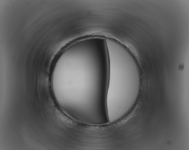 X0000093410880200710120914