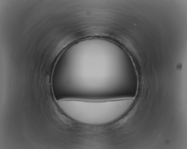 X0000093410881200710120914