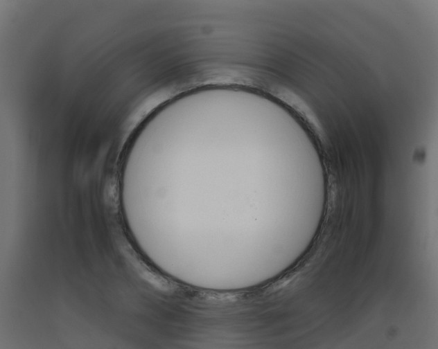 X0000093410882200710120914