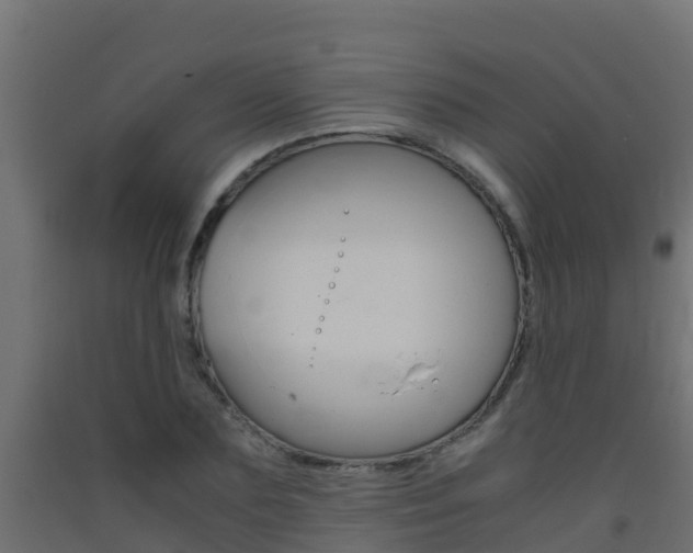 X0000093410883200710120914