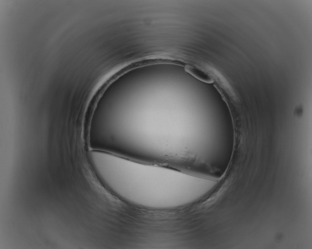 X0000093410884200710120914
