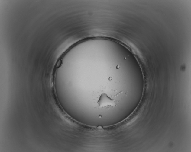 X0000093410885200710120914