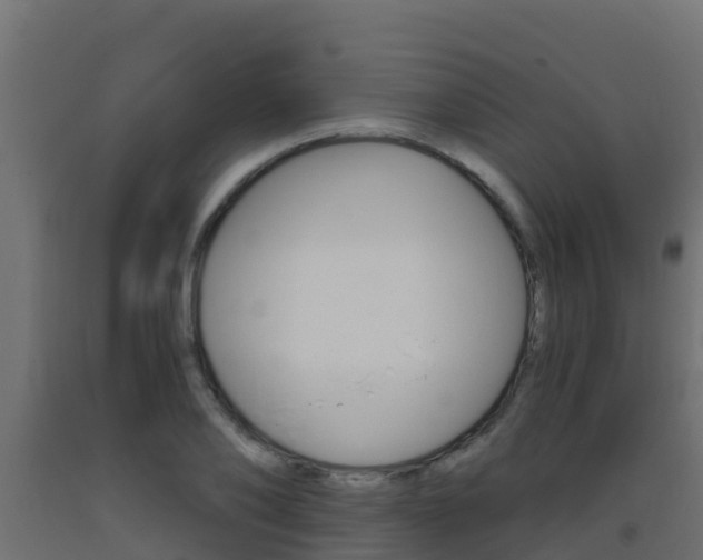 X0000093410886200710120914