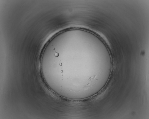 X0000093410887200710120914