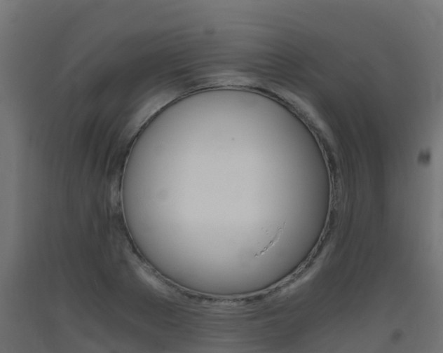 X0000093410889200710120914