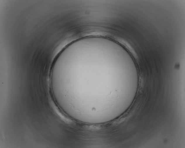 X0000093410890200710120913