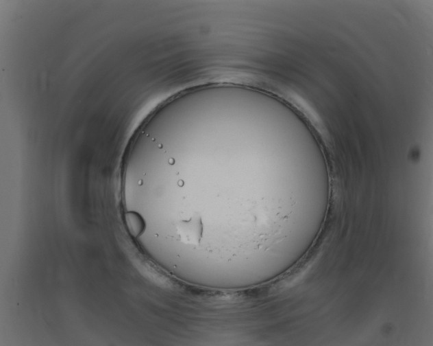 X0000093410891200710120913