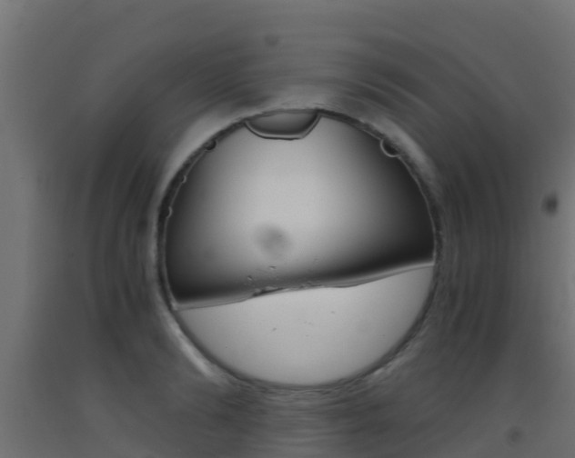 X0000093410894200710120913