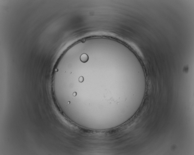 X0000093410895200710120913