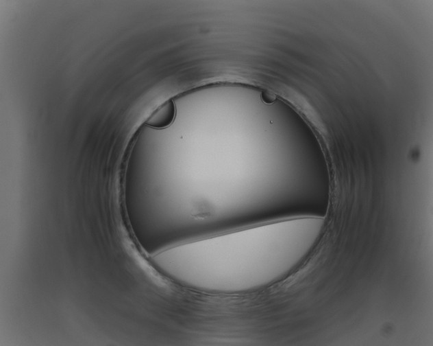 X0000093410898200710120913