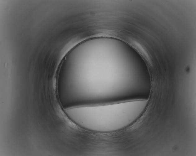 X0000093410900200710120913