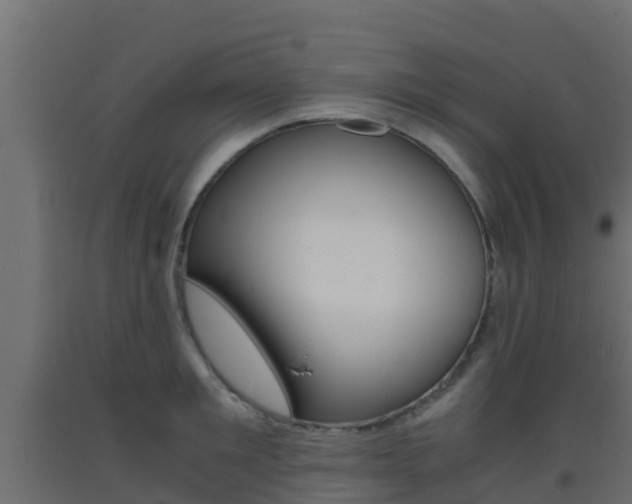 X0000093410901200710120913