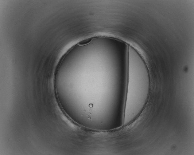X0000093410902200710120913